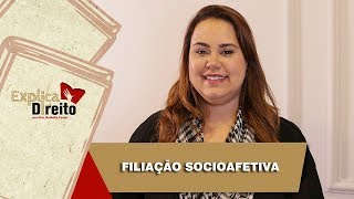 Explica Direito Filiação Socioafetiva  2019 [upl. by Micky]